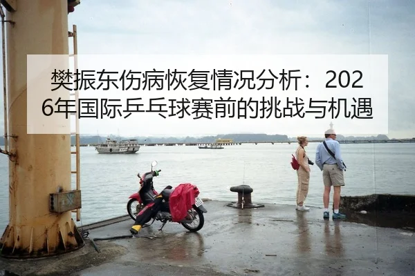 樊振东伤病恢复情况分析：2026年国际乒乓球赛前的挑战与机遇