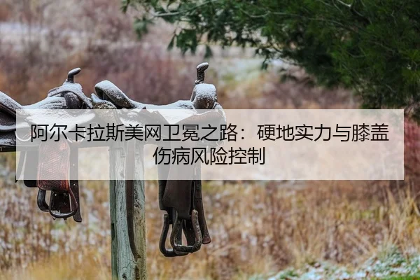 a-er-ka-la-si-mei-wang-wei-mian-zhi-lu-ying-di-shi-li-yu-xi-gai-shang-bing-feng-xian-kong-zhi-2-274.jpg