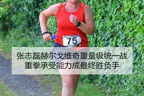 张志磊赫尔戈维奇重量级统一战 重拳承受能力成最终胜负手